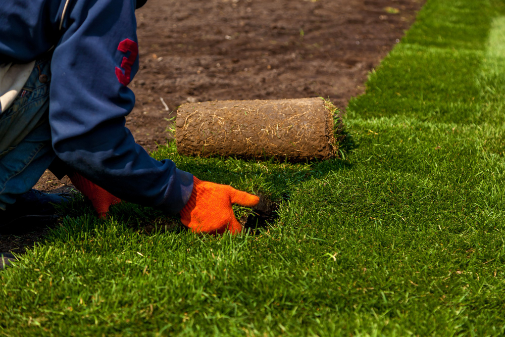 Tips for Getting Your Grass Green After A Drought
