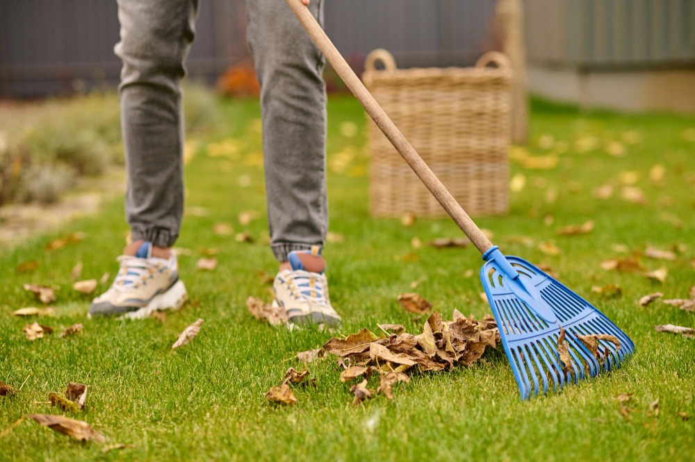 Yard Landscaping Mistakes You Shouldn't Make This Fall
