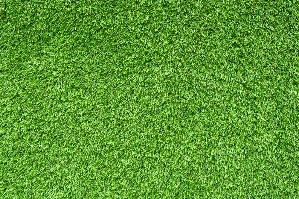 Debunking Myths About Synthetic Turf Installation in Florida