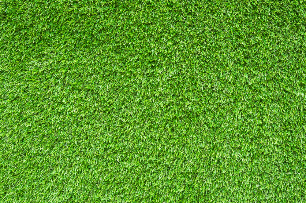 How to Care for Your Chipping Green Turf in Florida