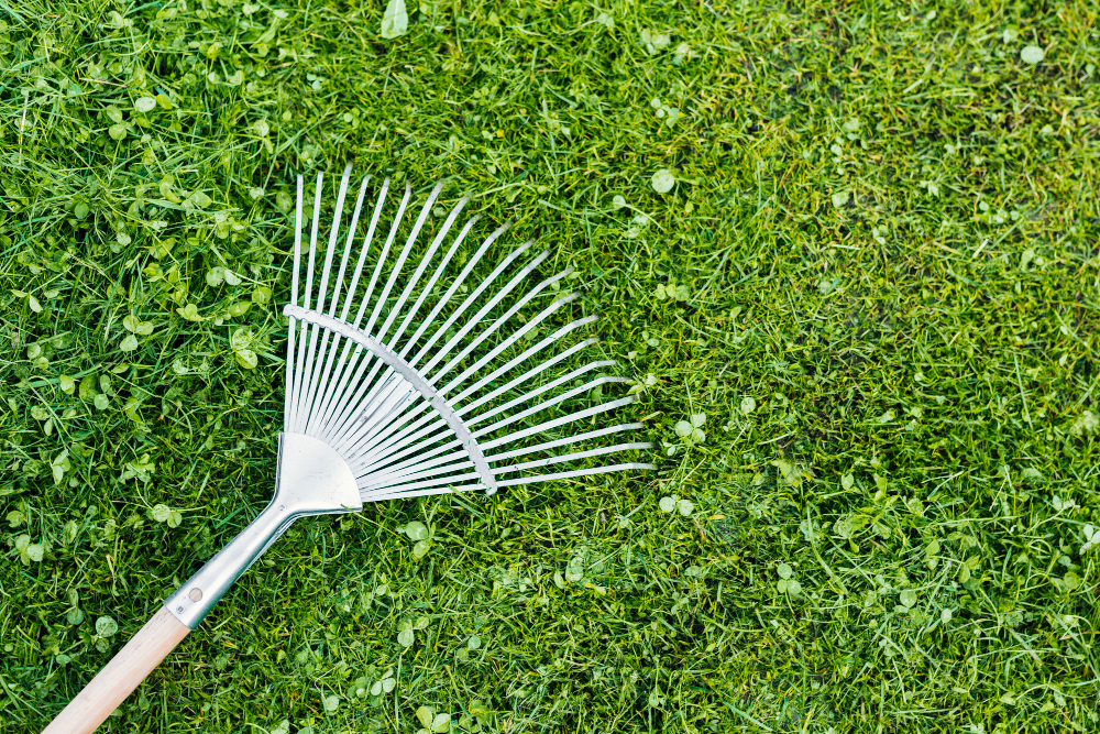Avoid These Common Lawn Care Mistakes