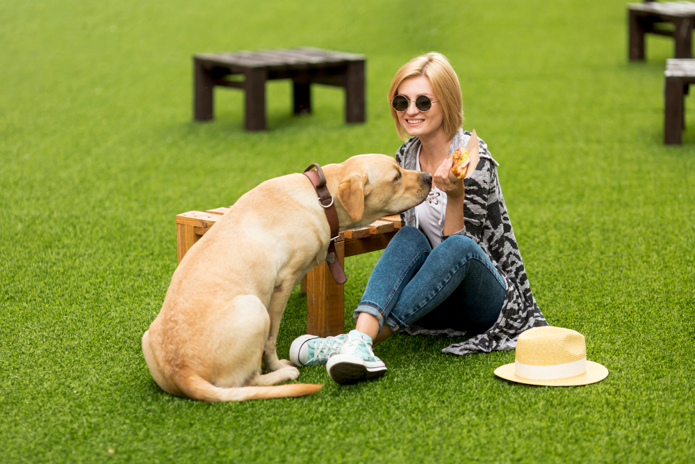 The Advantages of Artificial Grass in Dog Parks