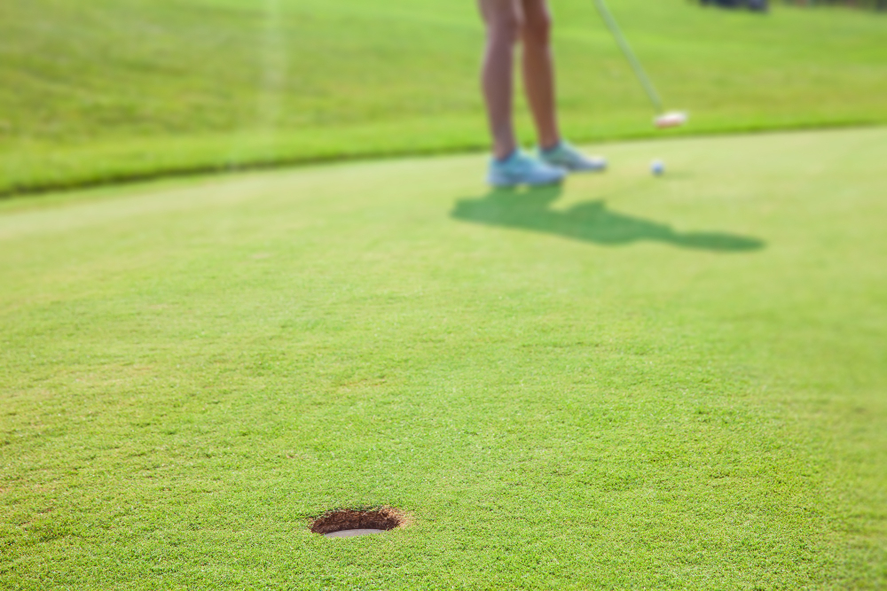 Tips for Backyard Putting Green Turf Management in Florida