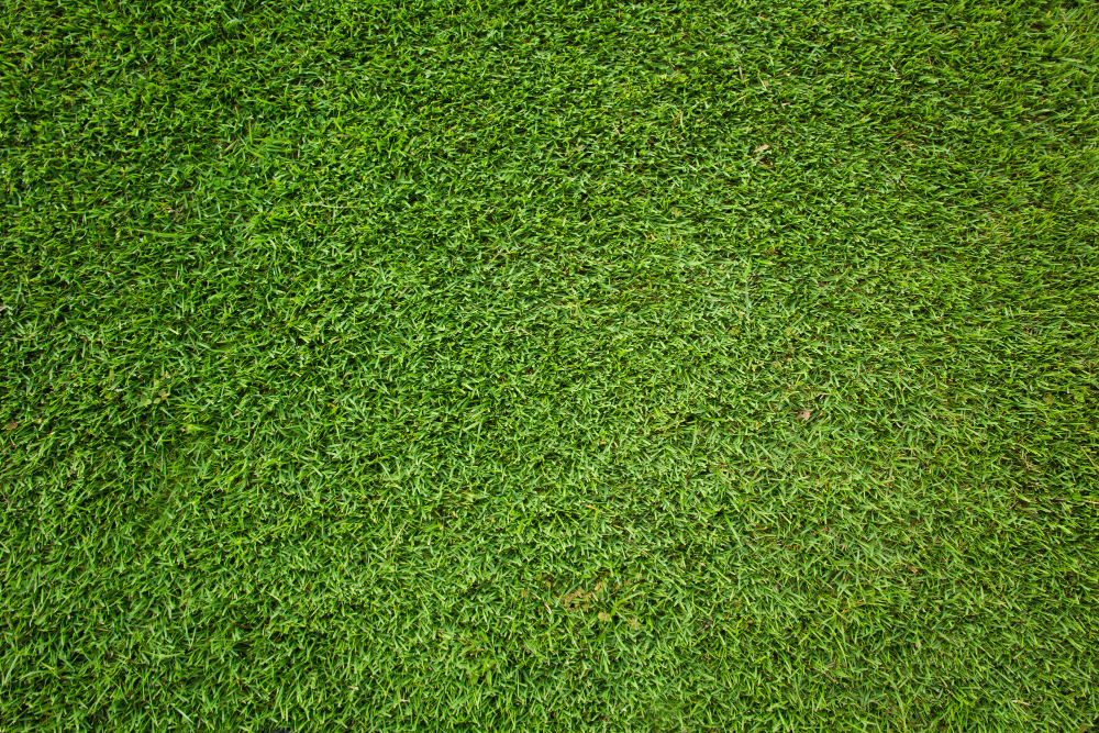 How Long Does Artificial Grass Last? The Ultimate Guide to Playground Turf in Florida