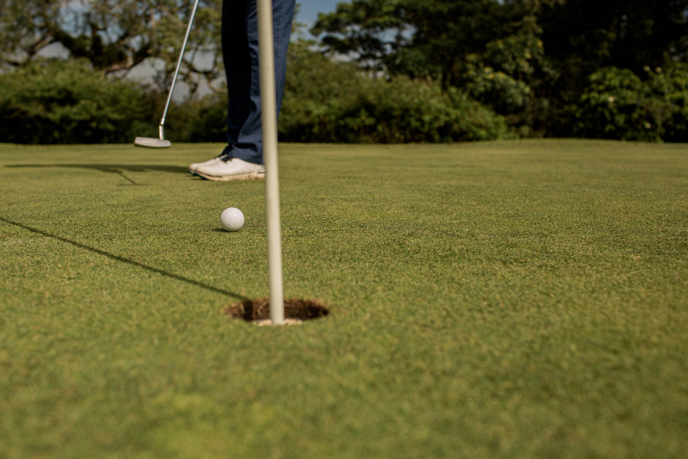 Reasons Why You Should Have Your Own Backyard Putting Green