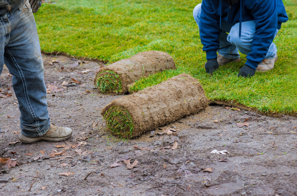 The Ultimate Guide to Preparing Your Soil For New Sod