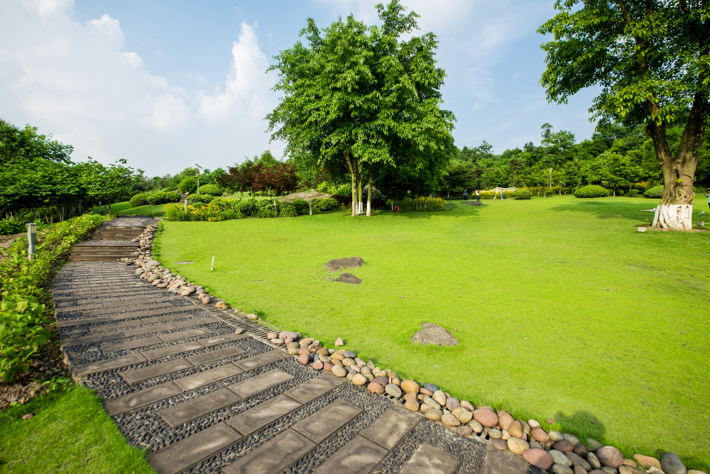 Unveiling the Benefits of Landscaping