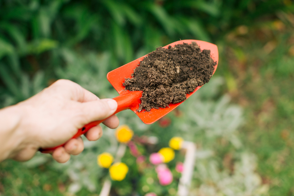 Unearth the Secrets of Sod Success through Soil Testing