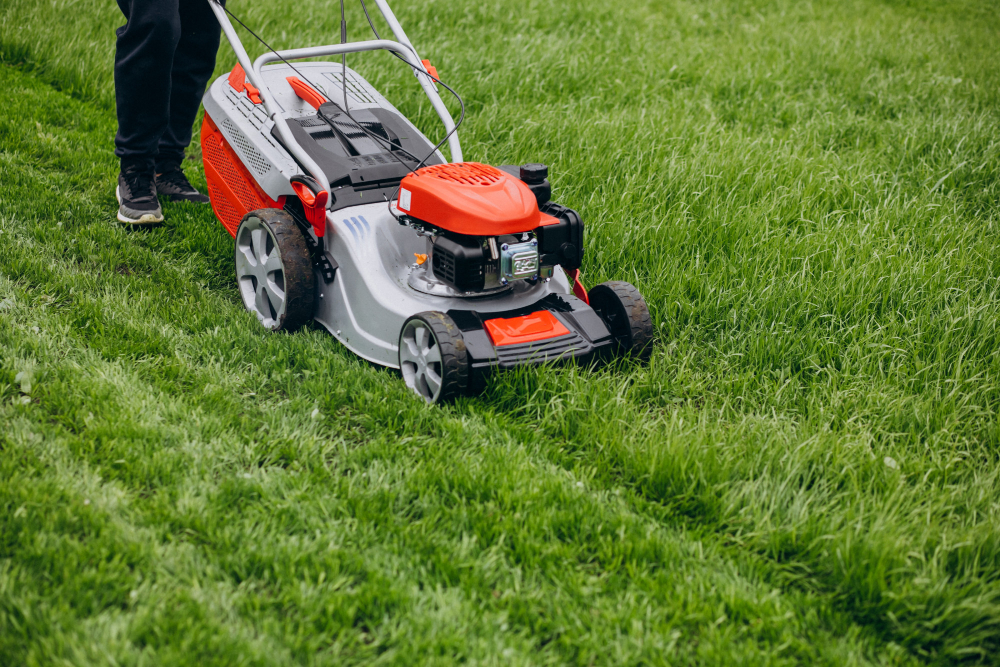 The Essential Guide to Cutting Your Lawn for the First Time