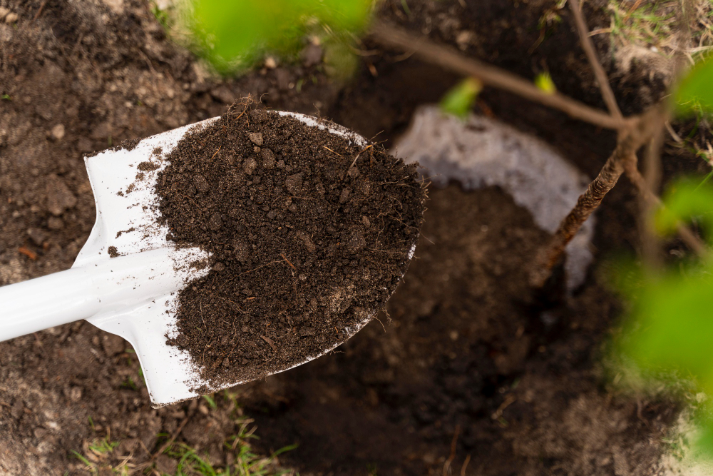 Compost and Sod: The Dynamic Duo for a Lush Lawn