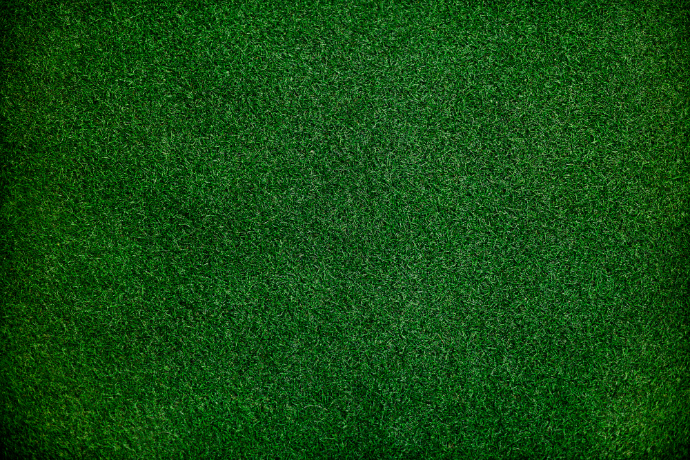 What Happens When Artificial Grass Gets Wet?