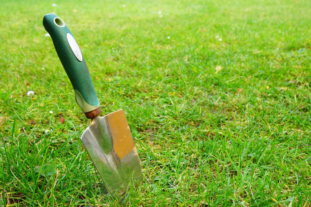 Common Mistakes in Sod Removal