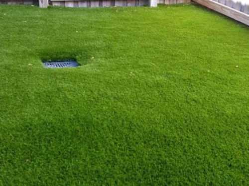 Pet Artificial Grass