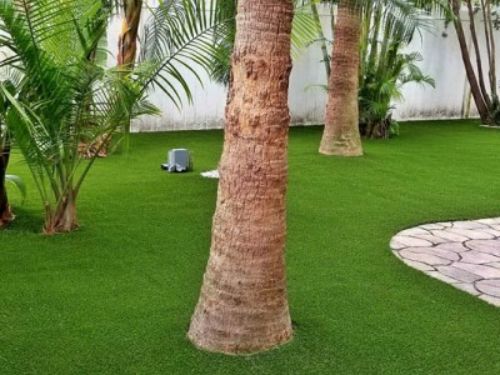 Pet Artificial Grass