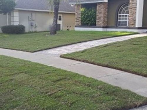 Residental sod installation