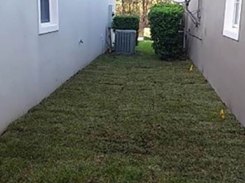 Residental sod service