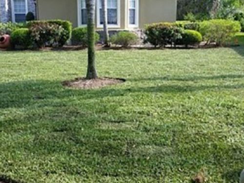 Residental sod service