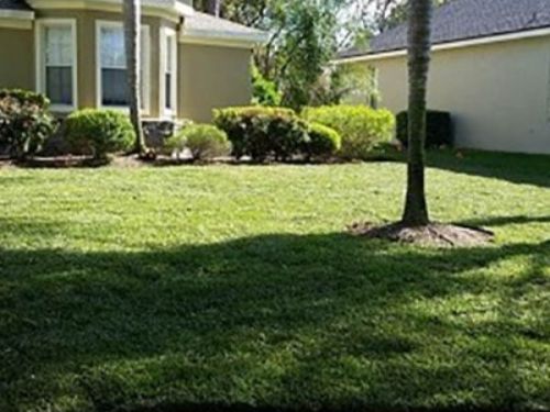 Residental sod service