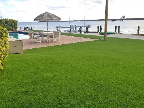 Pet Artificial Grass