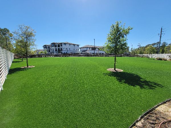 Artificial grass turf lawn