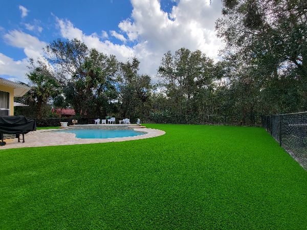 Backyard artificial grass lawn