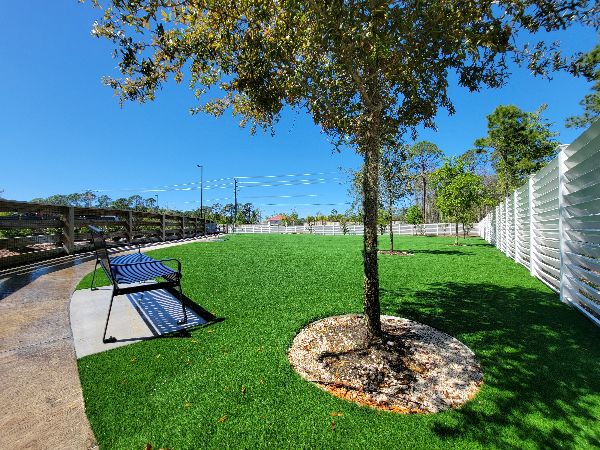 Landscaping Design and Installation