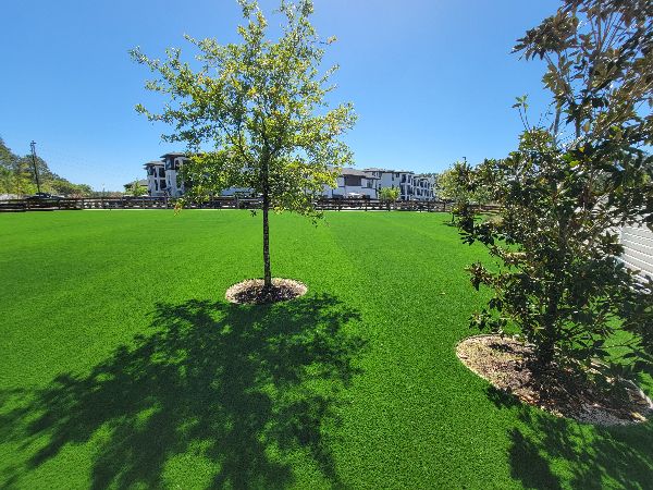 rtificial grass on front lawn