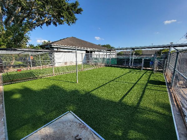 Pet park with artificial grass