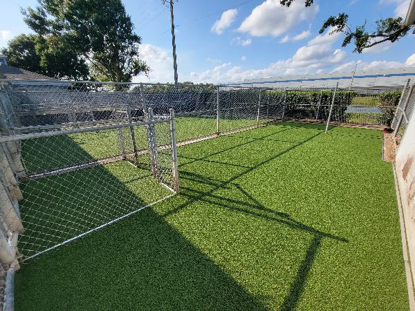 Pet park with artificial grass