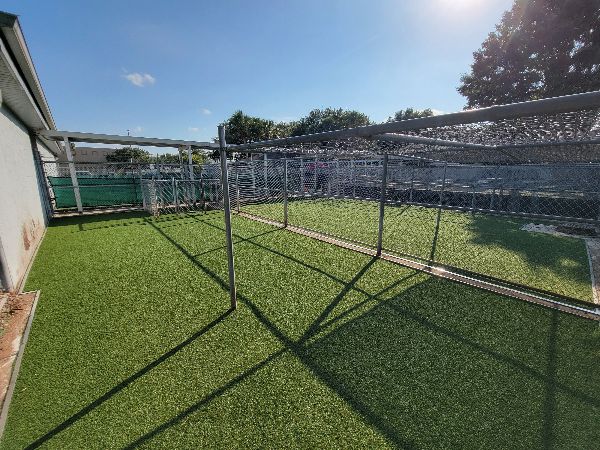 Pet Artificial Grass