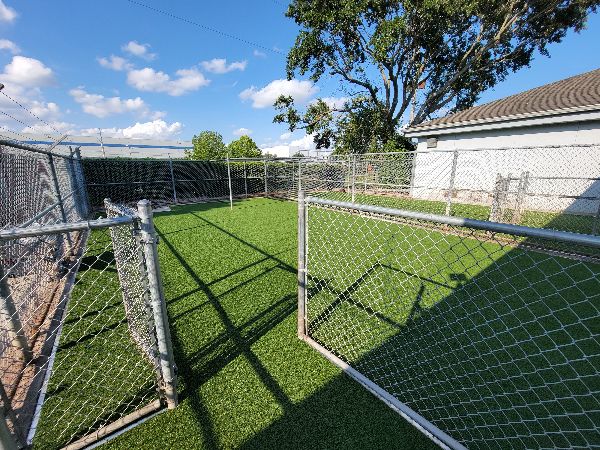 Pet park with artificial grass